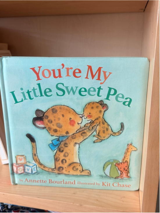 WonderKids Other - WonderKids Baby Board Book You're My Little Sweet Pea